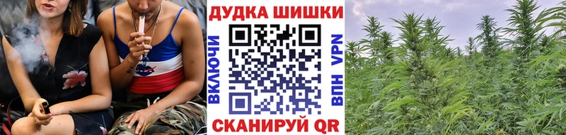 Бошки Шишки Bruce Banner  Узловая 